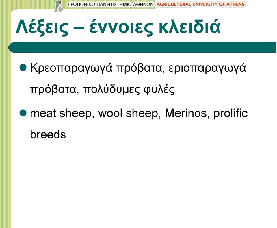 εριοπαραγωγά πρόβατα, πολύδυμες