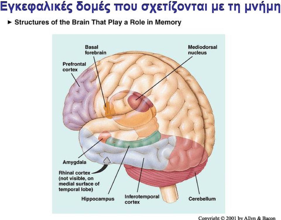 µνήµη   µνήµη