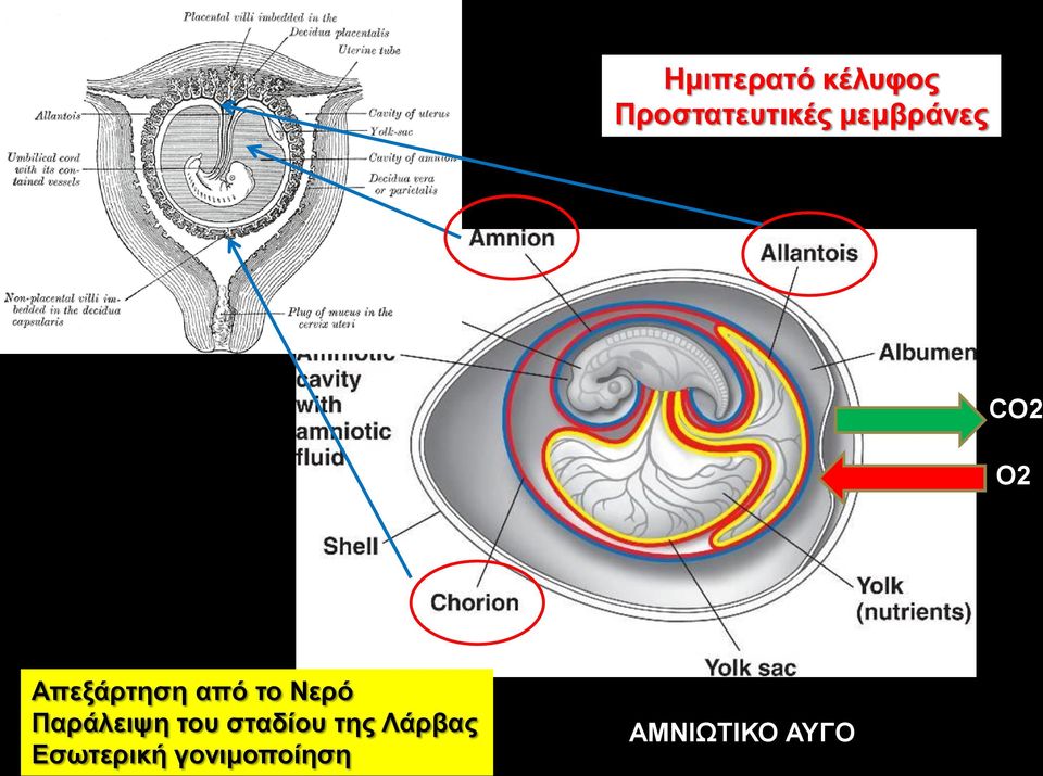 Νερό Παράλειψη του σταδίου της