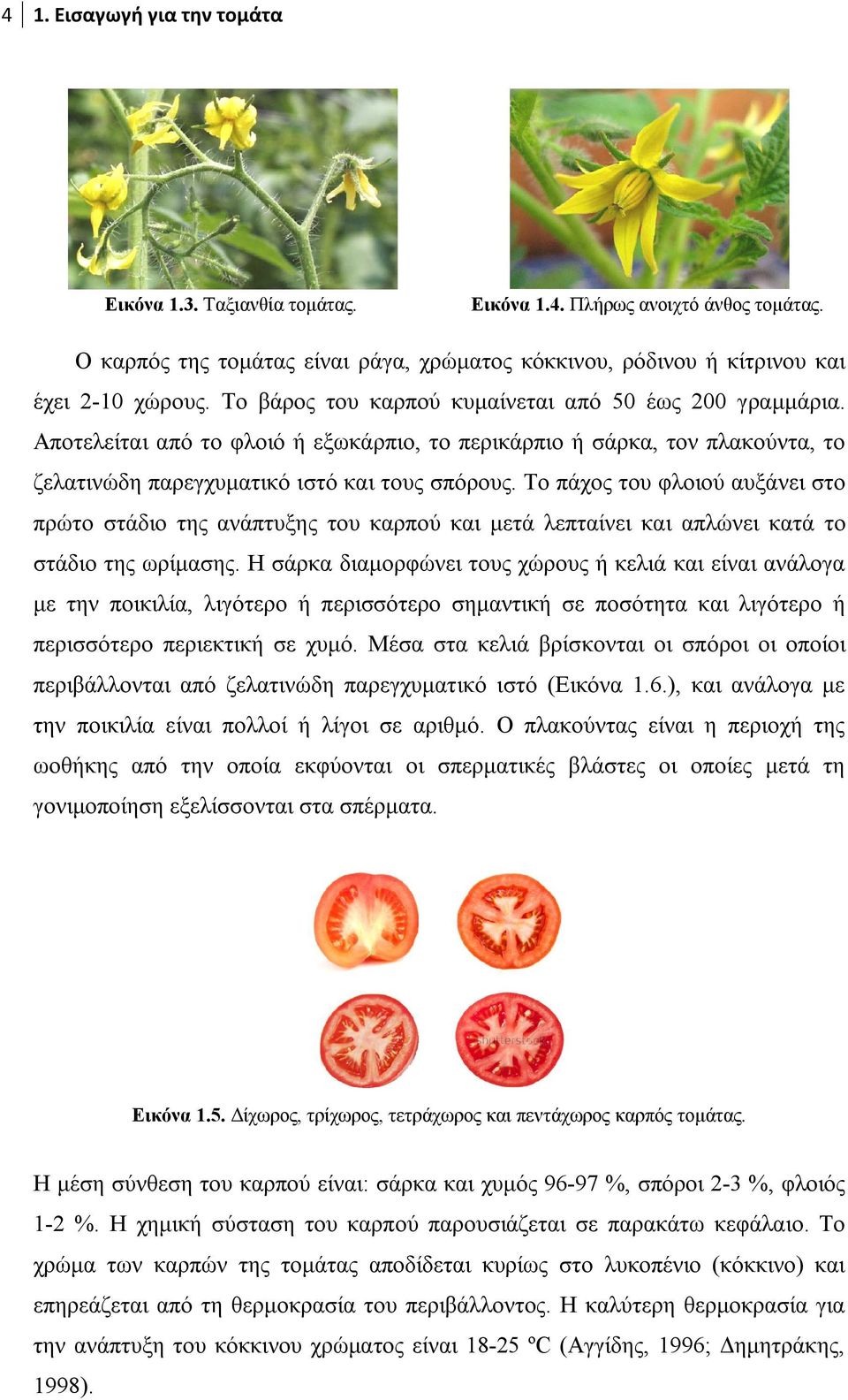 Το πάχος του φλοιού αυξάνει στο πρώτο στάδιο της ανάπτυξης του καρπού και μετά λεπταίνει και απλώνει κατά το στάδιο της ωρίμασης.