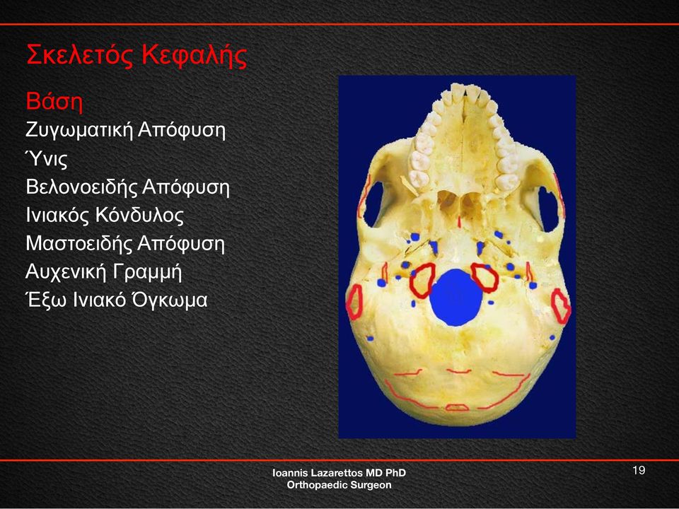 Ινιακός Κόνδυλος Μαστοειδής