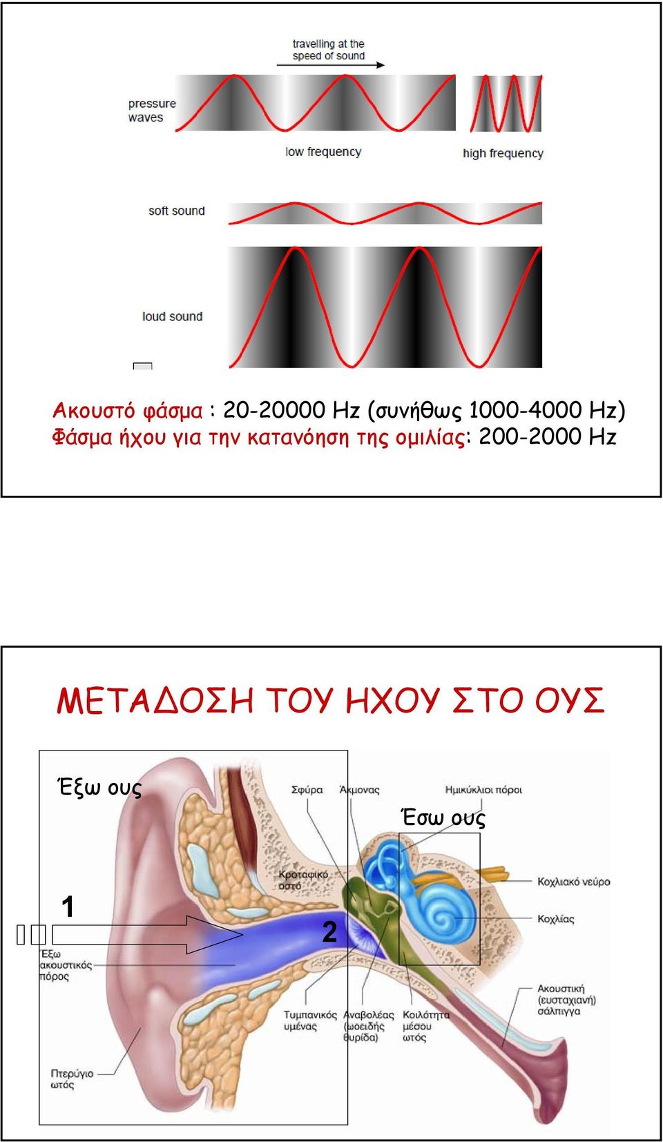 κατανόηση της οµιλίας: 200-2000 Hz