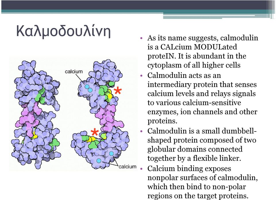 signals to various calcium-sensitive enzymes, ionchannels and other proteins.