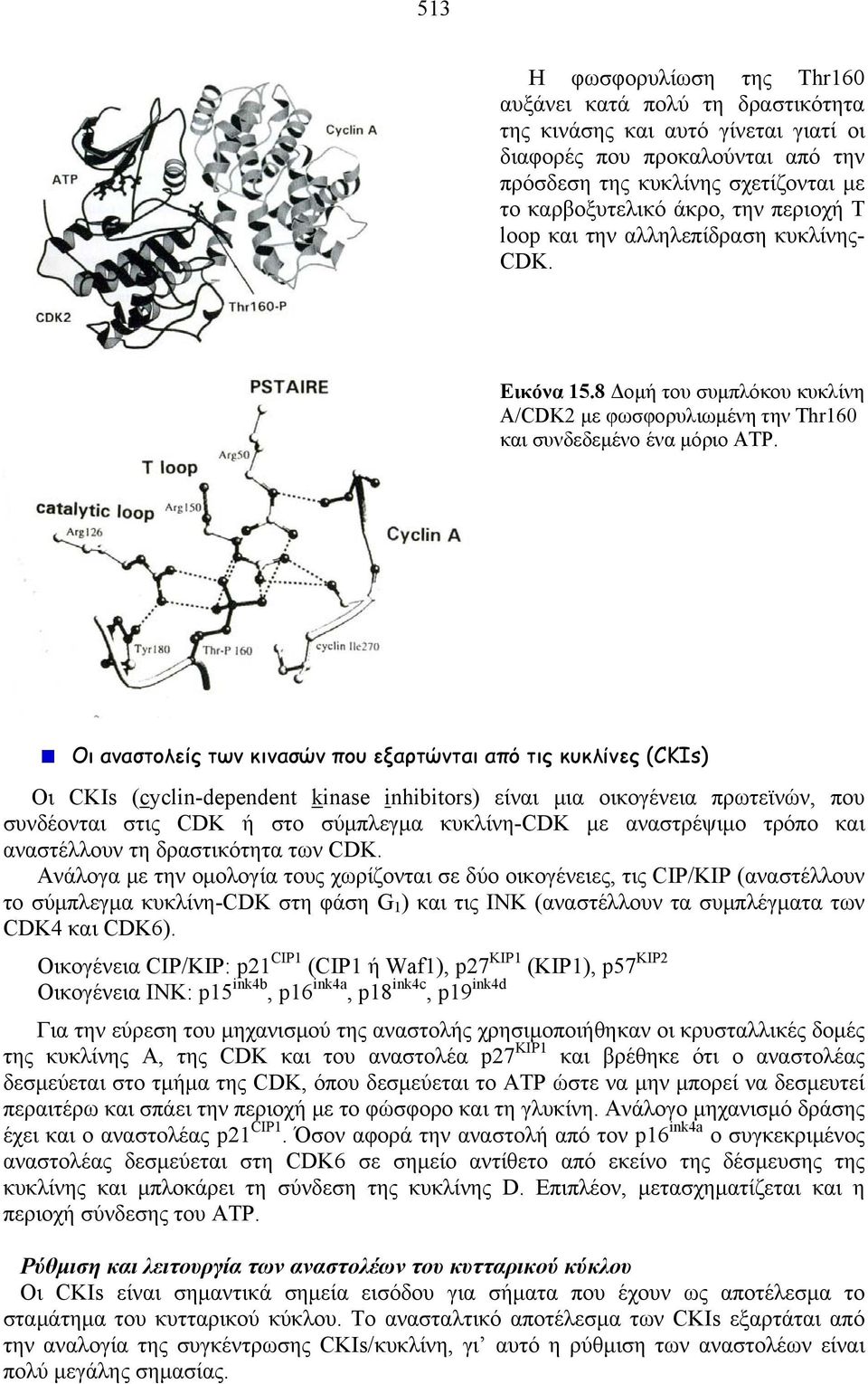 Οι αναστολείς των κινασών που εξαρτώνται από τις κυκλίνες (CKIs) Οι CKIs (cyclin-dependent kinase inhibitors) είναι μια οικογένεια πρωτεϊνών, που συνδέονται στις CDK ή στο σύμπλεγμα κυκλίνη-cdk με