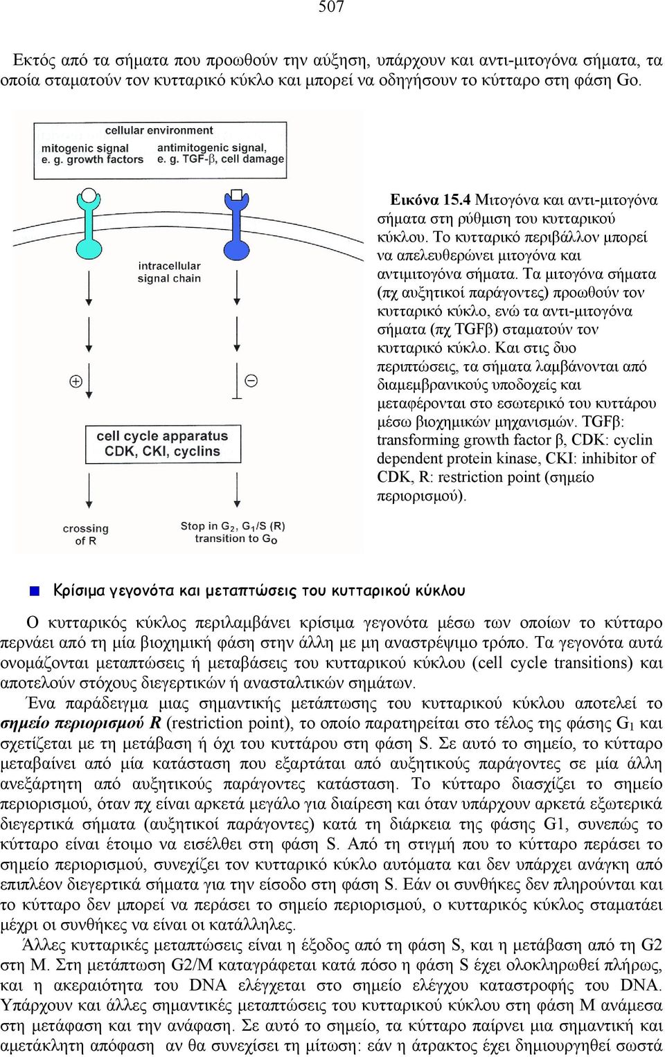 Τα μιτογόνα σήματα (πχ αυξητικοί παράγοντες) προωθούν τον κυτταρικό κύκλο, ενώ τα αντι-μιτογόνα σήματα (πχ TGFβ) σταματούν τον κυτταρικό κύκλο.