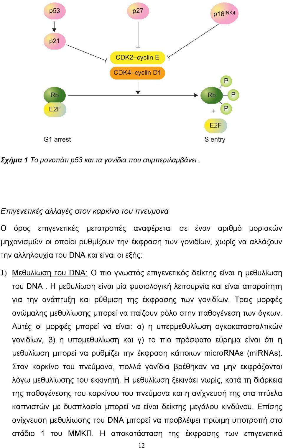 αλληλουχία του DNA και είναι οι εξής: 1) Μεθυλίωση του DNA: Ο πιο γνωστός επιγενετικός δείκτης είναι η μεθυλίωση του DNA.