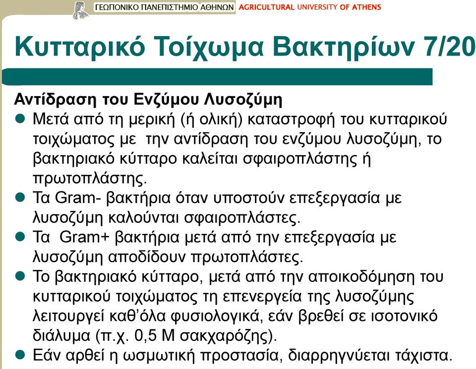 Τα Gram+ βακτήρια μετά από την επεξεργασία με λυσοζύμη αποδίδουν πρωτοπλάστες.