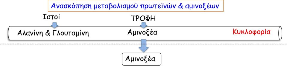 Ιστοί ΤΡΟΦΗ Αλανίνη &