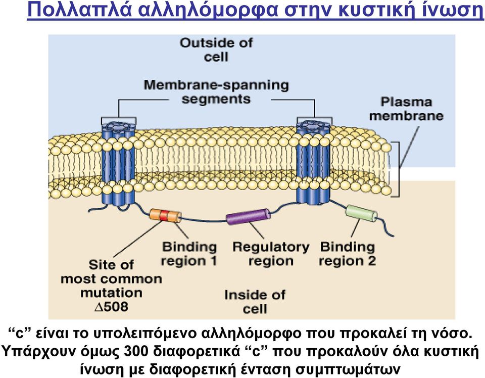 Υπάρχουν όµως 300 διαφορετικά c που προκαλούν