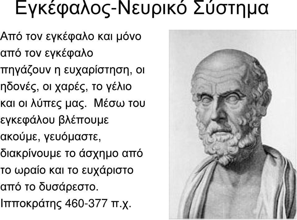 Μέσω του εγκεφάλου βλέπουµε ακούµε, γευόµαστε, διακρίνουµε το άσχηµο