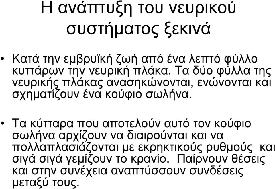 Τα κύτταρα που αποτελούν αυτό τον κούφιο σωλήνα αρχίζουν να διαιρούνται και να πολλαπλασιάζονται µε