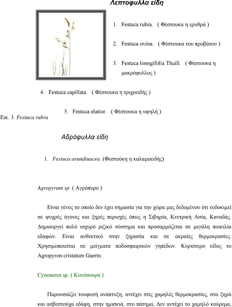 ( Αγρόπυρο ) Είναι γένος το οποίο δεν έχει σηµασία για την χώρα µας δεδοµένου ότι ευδοκιµεί σε ψυχρές άγονες και ξηρές περιοχές όπως η Σιβηρία, Κεντρική Ασία, Καναδάς.