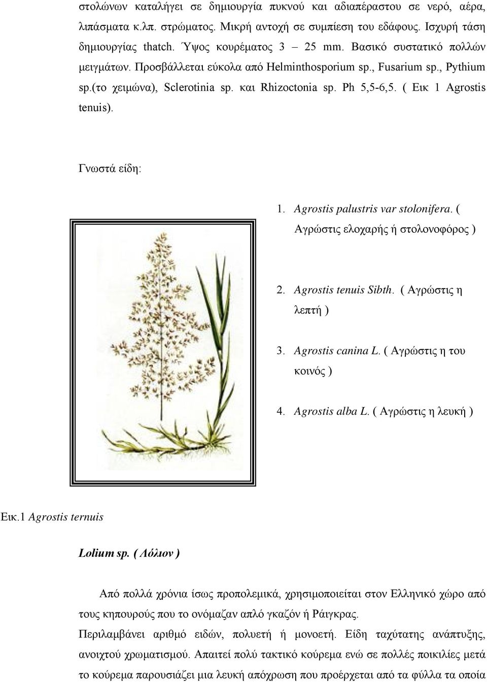 Γνωστά είδη: 1. Agrostis palustris var stolonifera. ( Αγρώστις ελοχαρής ή στολονοφόρος ) 2. Agrostis tenuis Sibth. ( Αγρώστις η λεπτή ) 3. Agrostis canina L. ( Αγρώστις η του κοινός ) 4.