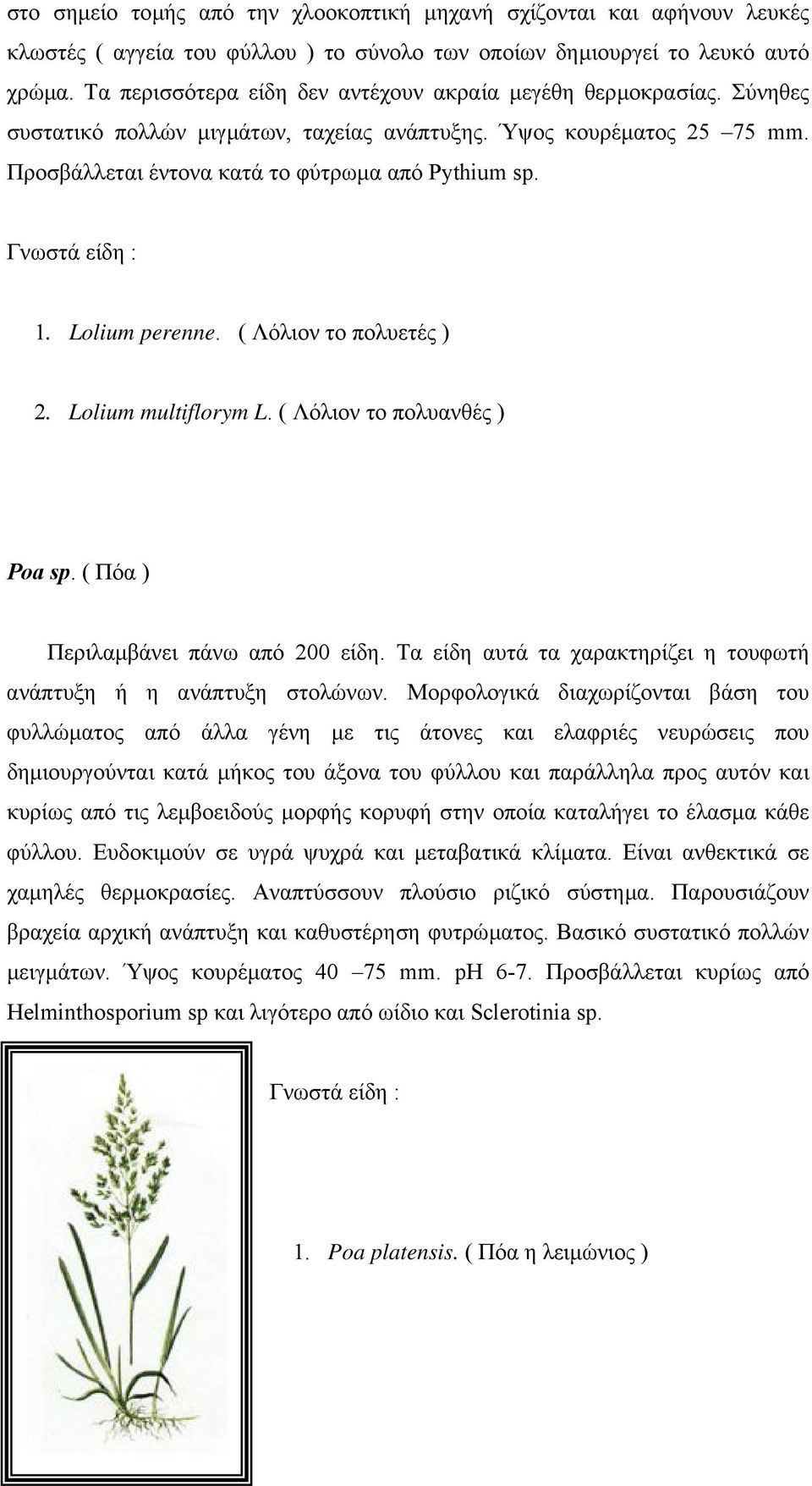 Γνωστά είδη : 1. Lolium perenne. ( Λόλιον το πολυετές ) 2. Lolium multiflorym L. ( Λόλιον το πολυανθές ) Poa sp. ( Πόα ) Περιλαµβάνει πάνω από 200 είδη.