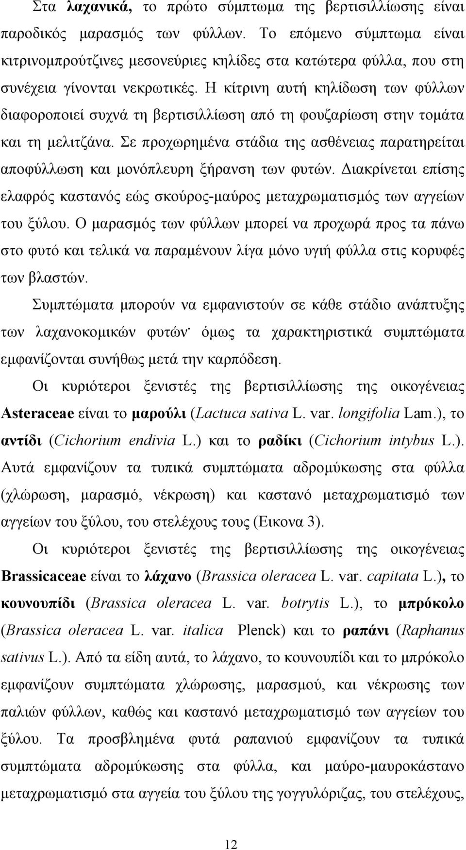 Η κίτρινη αυτή κηλίδωση των φύλλων διαφοροποιεί συχνά τη βερτισιλλίωση από τη φουζαρίωση στην τοµάτα και τη µελιτζάνα.