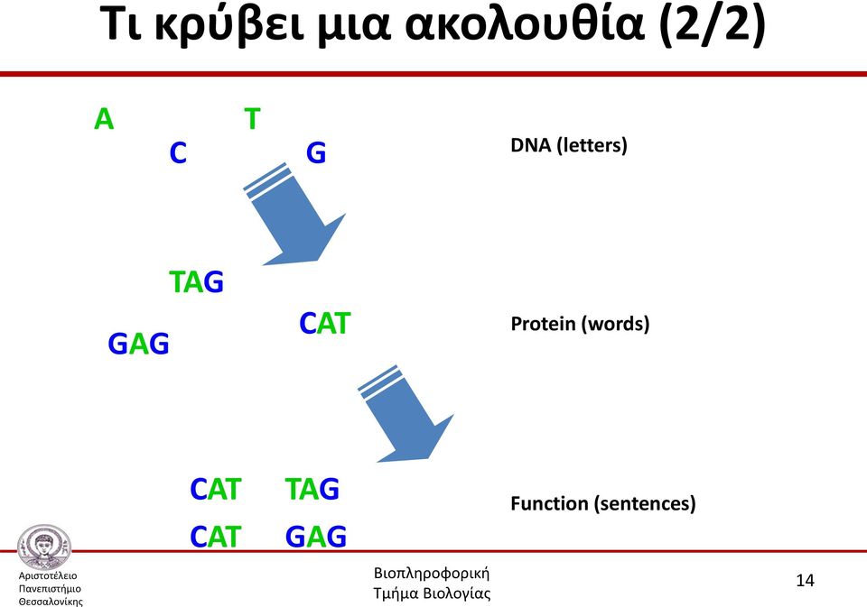 CAT Protein (words) CAT TAG