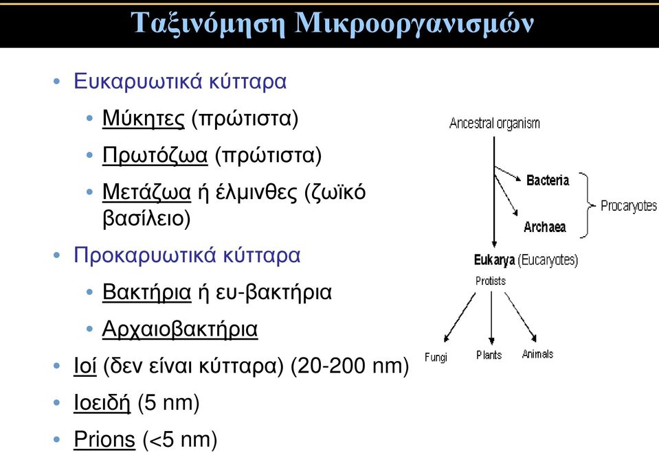 βασίλειο) Προκαρυωτικά κύτταρα Βακτήρια ή ευ-βακτήρια