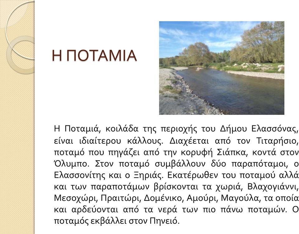 Στον ποταμό συμβάλλουν δύο παραπόταμοι, ο Ελασσονίτης και ο Ξηριάς.