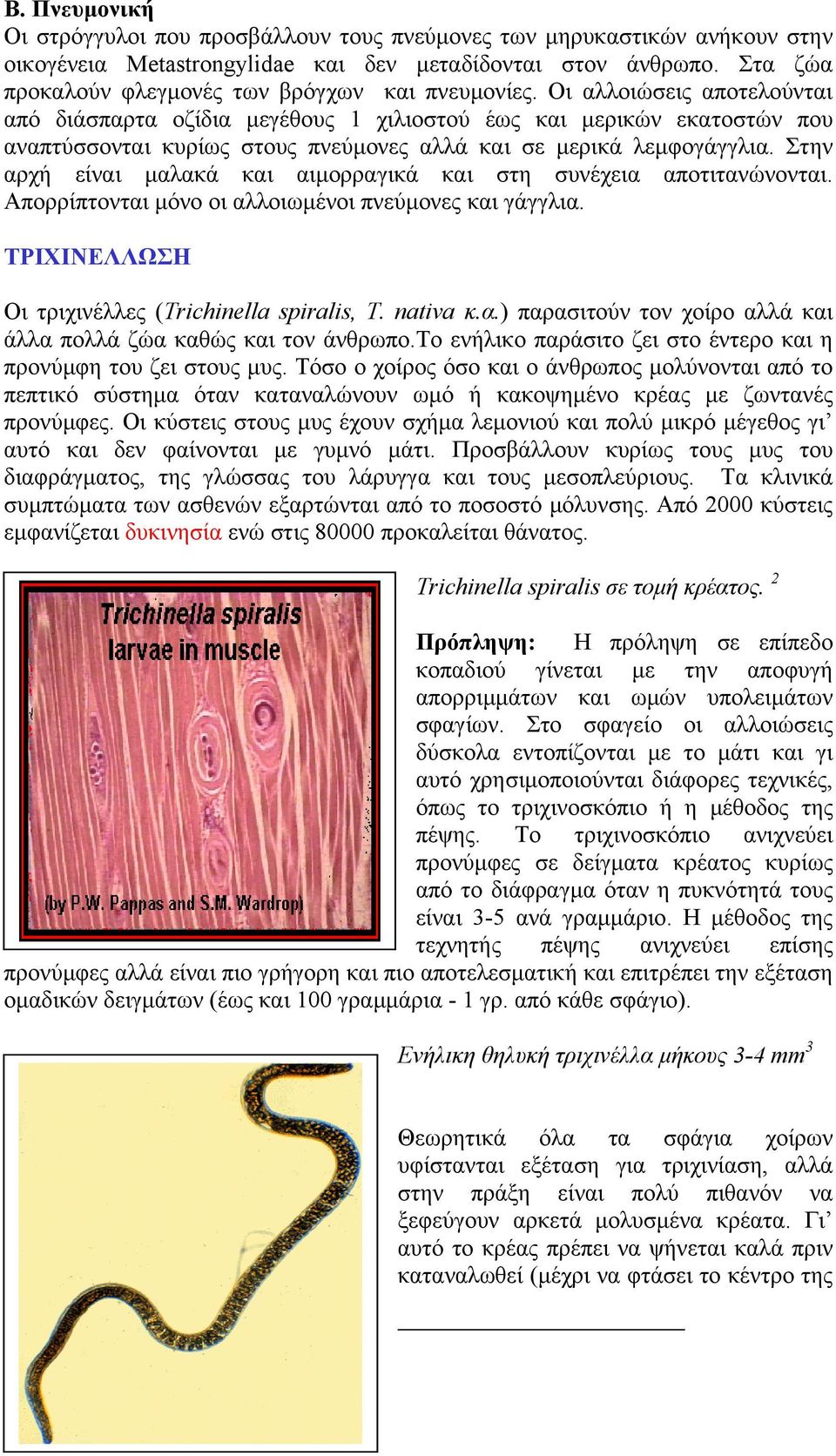 Οι αλλοιώσεις αποτελούνται από διάσπαρτα οζίδια µεγέθους 1 χιλιοστού έως και µερικών εκατοστών που αναπτύσσονται κυρίως στους πνεύµονες αλλά και σε µερικά λεµφογάγγλια.