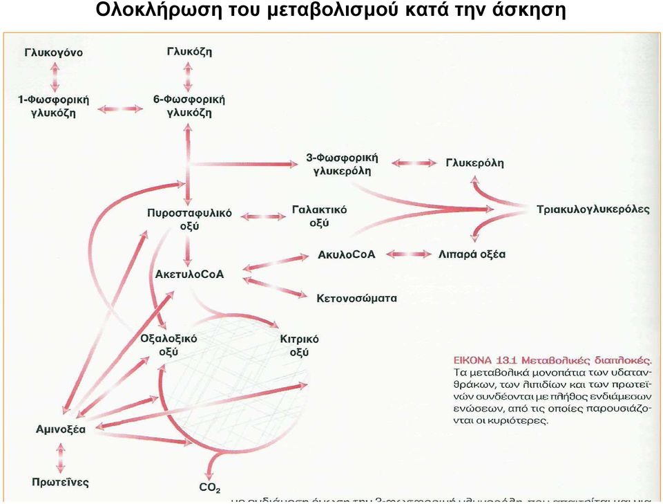 κατά την άσκηση