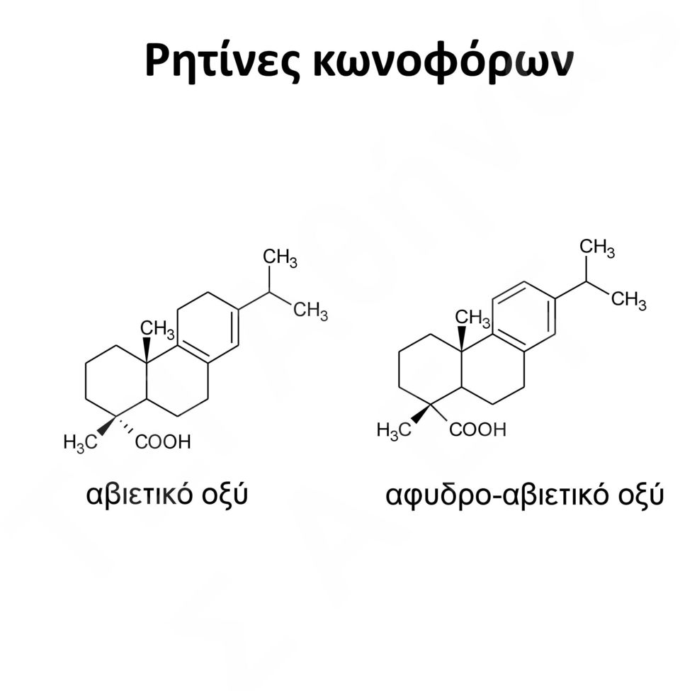 αβιετικό οξύ C