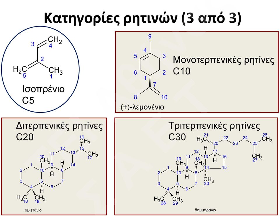 2 8 10 (+)-λεμονένιο 1 4 10 5 C C 28 Μονοτερπενικές ρητίνες C10 Τριτερπενικές