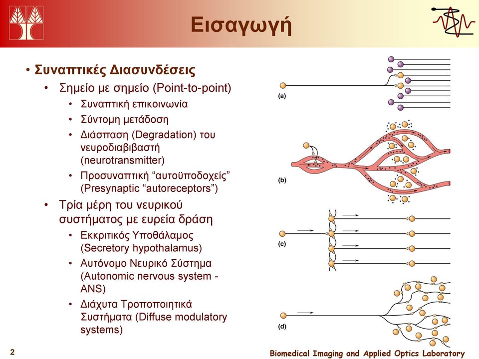 autoreceptors ) Τρία μέρη του νευρικού συστήματος με ευρεία δράση Εκκριτικός Υποθάλαμος (Secretory