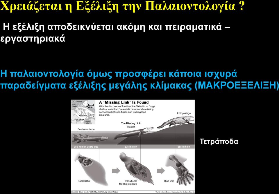 εργαστηριακά Η παλαιοντολογία όμως προσφέρει κάποια