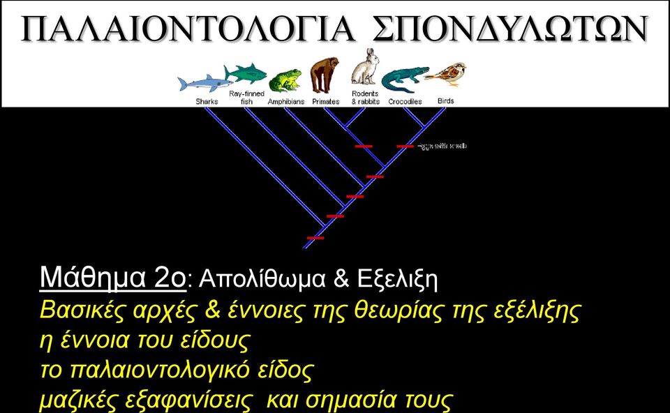 της θεωρίας της εξέλιξης η έννοια του είδους