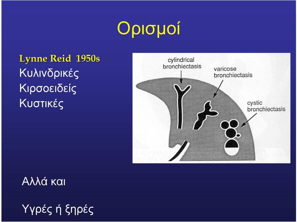 Κιρσοειδείς