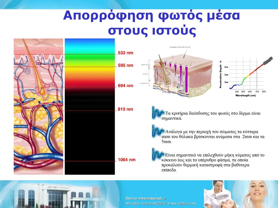 Ανάλογα με την περιοχή του σώματος τα κύτταρα stem του θύλακα βρίσκονται ανάμεσα στα