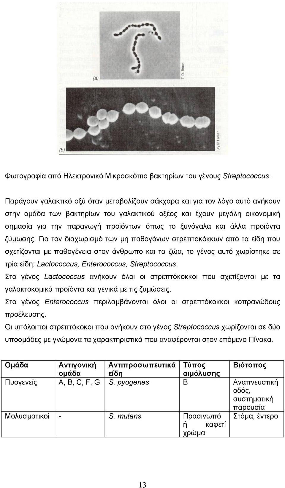 ξυνόγαλα και άλλα προϊόντα ζύµωσης.