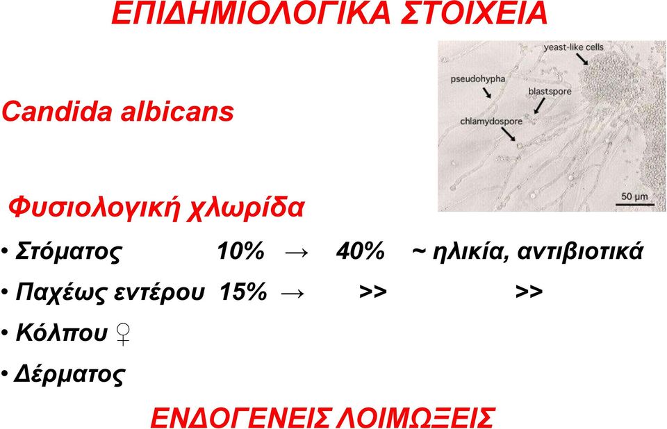 ηλικία, αντιβιοτικά Παχέως εντέρου 15%