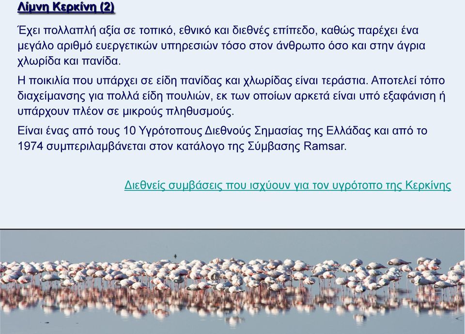 Αποτελεί τόπο διαχείμανσης για πολλά είδη πουλιών, εκ των οποίων αρκετά είναι υπό εξαφάνιση ή υπάρχουν πλέον σε μικρούς πληθυσμούς.