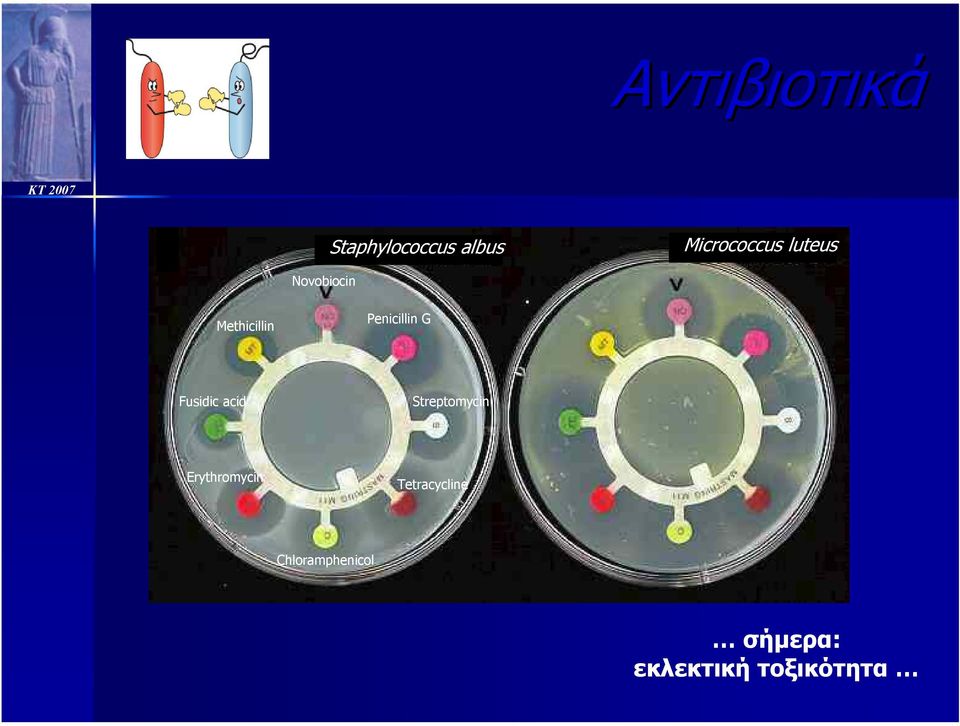 Fusidic acid Streptomycin Erythromycin