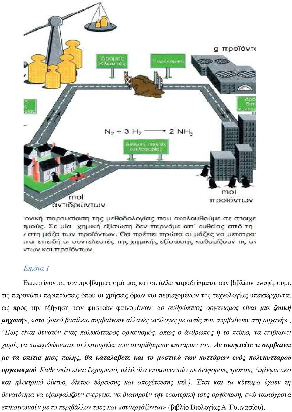 πολυκύτταρος οργανισμός, όπως ο άνθρωπος ή το πεύκο, να επιβιώνει χωρίς να «μπερδεύονται» οι λειτουργίες των αναρίθμητων κυττάρων του; Αν σκεφτείτε τι συμβαίνει με τα σπίτια μιας πόλης, θα καταλάβετε