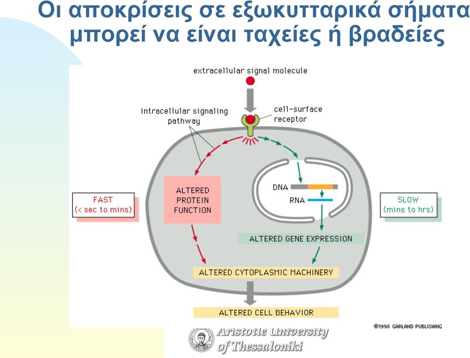 σήµατα µπορεί να