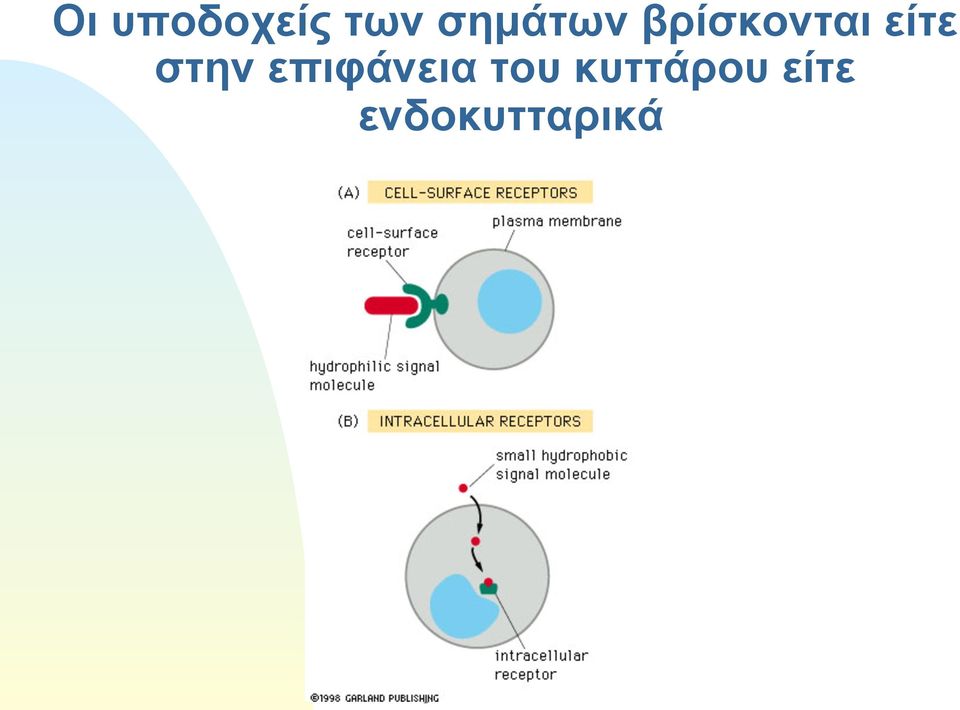 είτε στην επιφάνεια