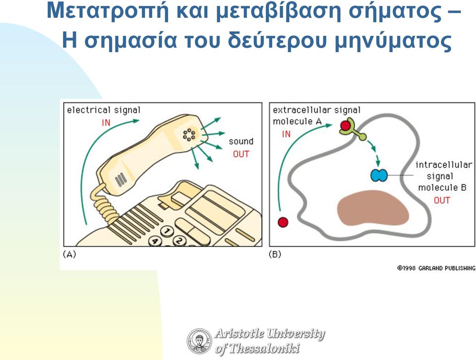 σήµατος H