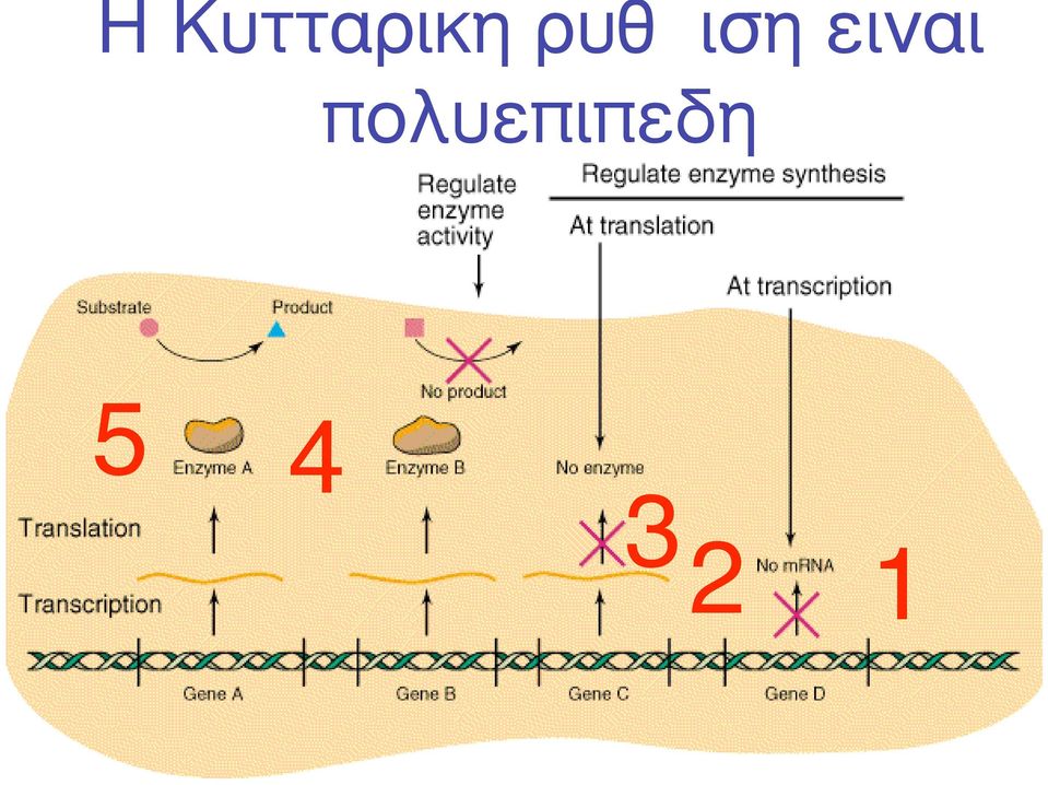 ειναι