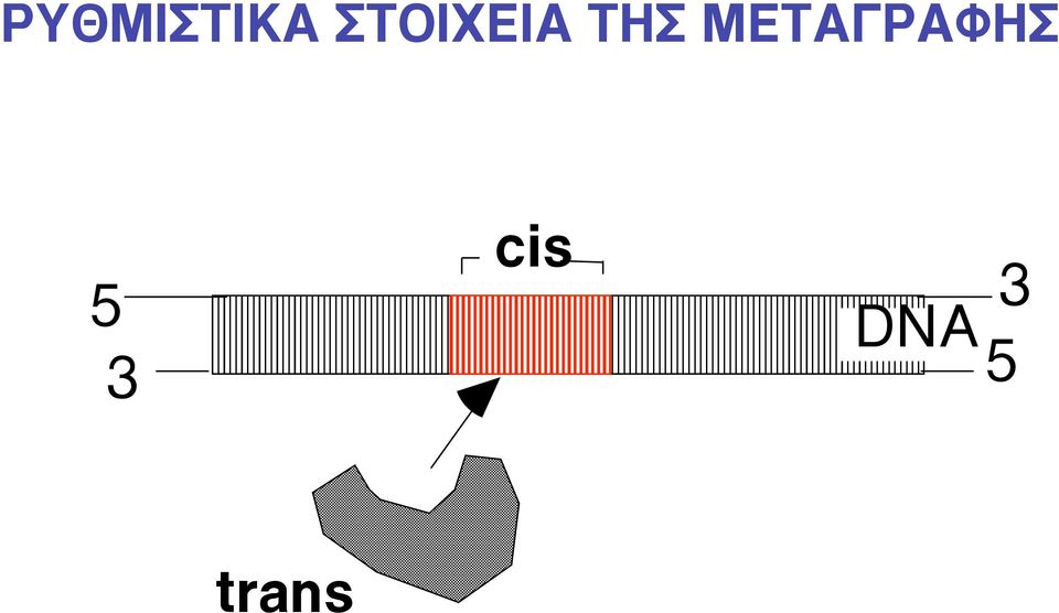 ΜΕΤΑΓΡΑΦΗΣ