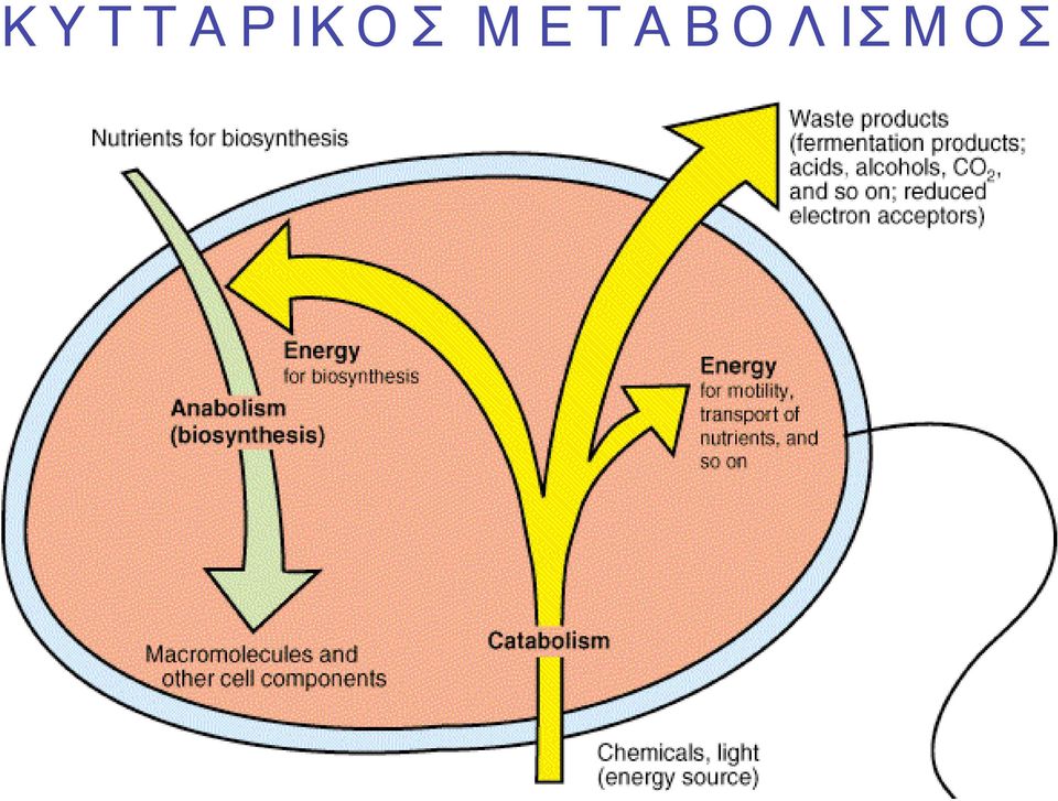 Ε Τ Α Β Ο