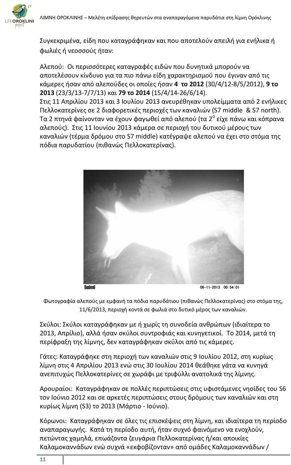 Στις 11 Απριλίου 2013 και 3 Ιουλίου 2013 ανευρέθηκαν υπολείμματα από 2 ενήλικες Πελλοκατερίνες σε 2 διαφορετικές περιοχές των καναλιών (S7 middle & S7 north).