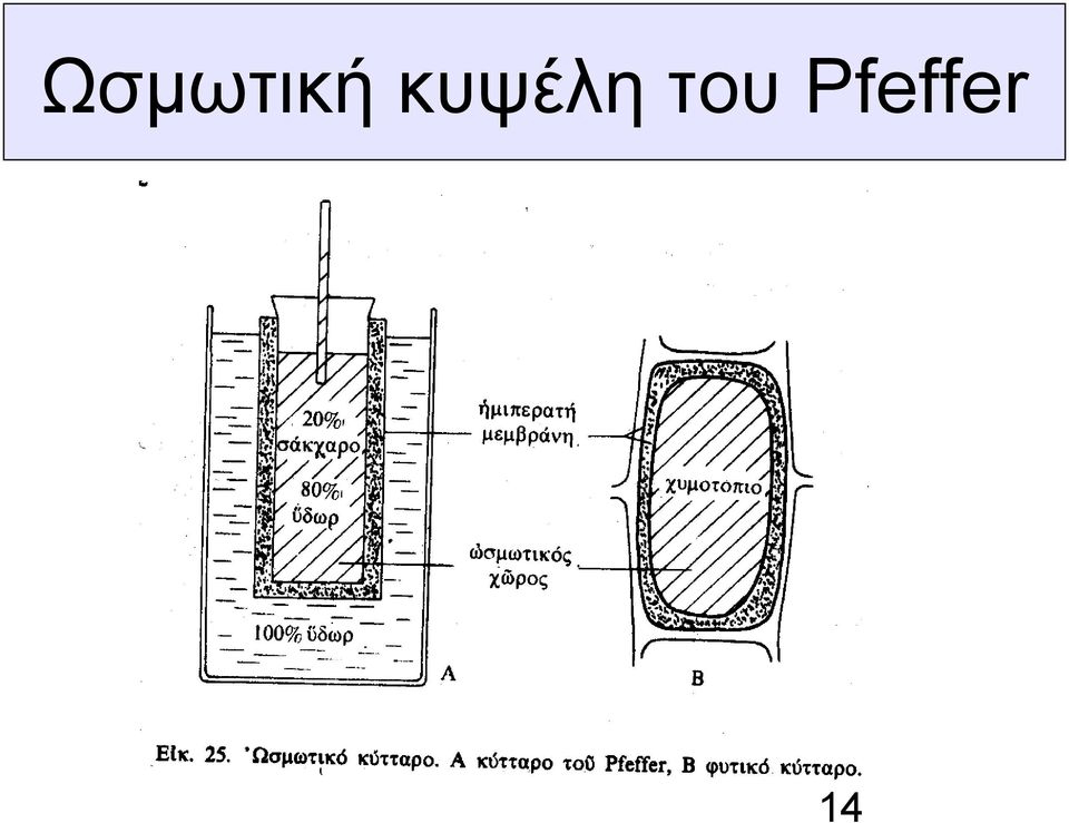 του