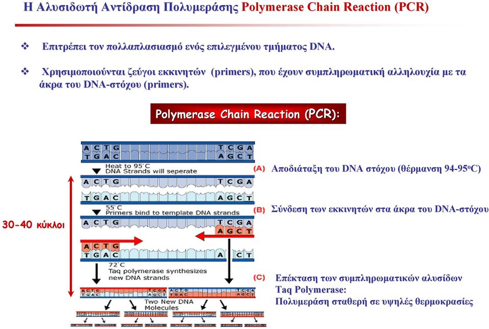 Polymerase Chain Reaction (PCR( PCR): Αποδιάταξη του DNA στόχου (θέρμανση 94-95 95 ο C) 30-40 κύκλοι Σύνδεση των