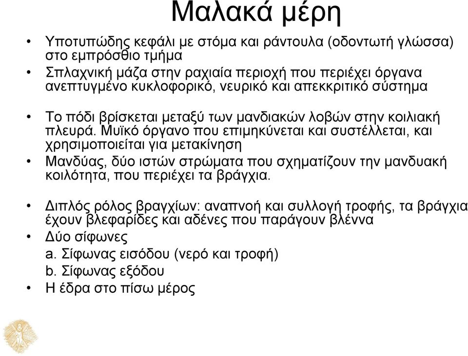 Μυϊκό όργανο που επιμηκύνεται και συστέλλεται, και χρησιμοποιείται για μετακίνηση Μανδύας, δύο ιστών στρώματα που σχηματίζουν την μανδυακή κοιλότητα, που