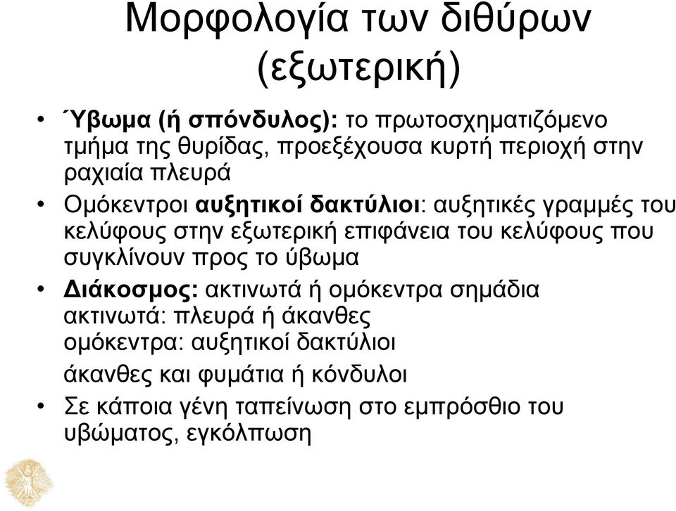 του κελύφους που συγκλίνουν προς το ύβωμα Διάκοσμος: ακτινωτά ή ομόκεντρα σημάδια ακτινωτά: πλευρά ή άκανθες