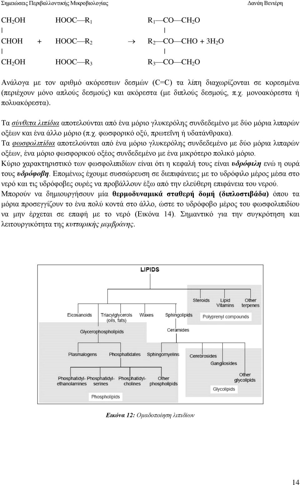 Τα φωσφολιπίδια αποτελούνται από ένα μόριο γλυκερόλης συνδεδεμένο με δύο μόρια λιπαρών οξέων, ένα μόριο φωσφορικού οξέος συνδεδεμένο με ένα μικρότερο πολικό μόριο.