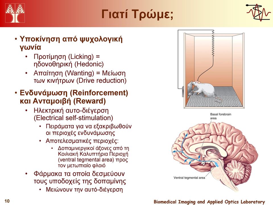 Πειράματα για να εξακριβωθούν οι περιοχές ενδυνάμωσης Αποτελεσματικές περιοχές: Δοπαμινεργικοί άξονες από τη Κοιλιακή Καλυπτήρια