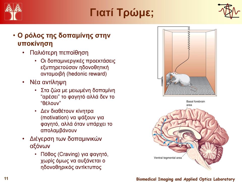 φαγητό αλλά δεν το θέλουν Δεν διαθέτουν κίνητρα (motivation) να ψάξουν για φαγητό, αλλά όταν υπάρχει το